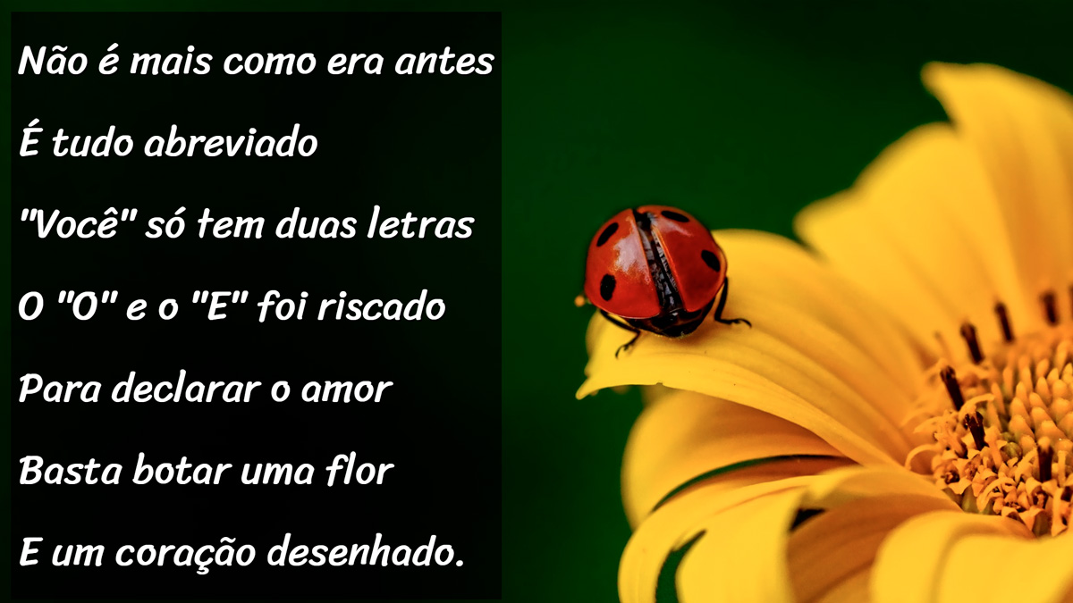 projto1